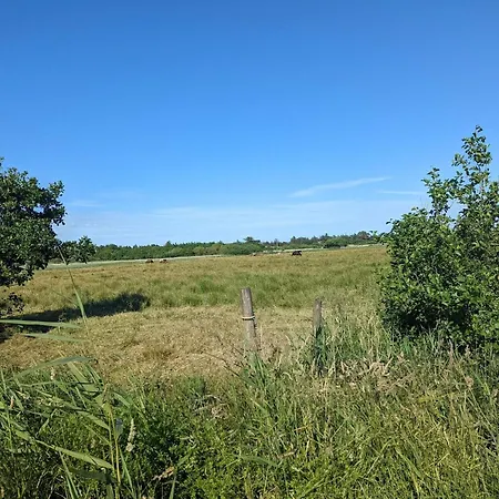 4 Star Holiday Home In Blavand *