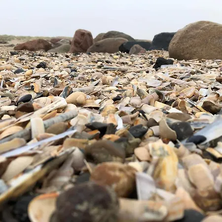 Semesterbostad Secluded Retreat In Nature - By Traum Blåvand