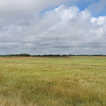 Secluded Retreat In Nature - By Traum * Blåvand