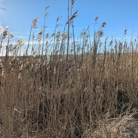 Semesterbostad Secluded Retreat In Nature - By Traum *