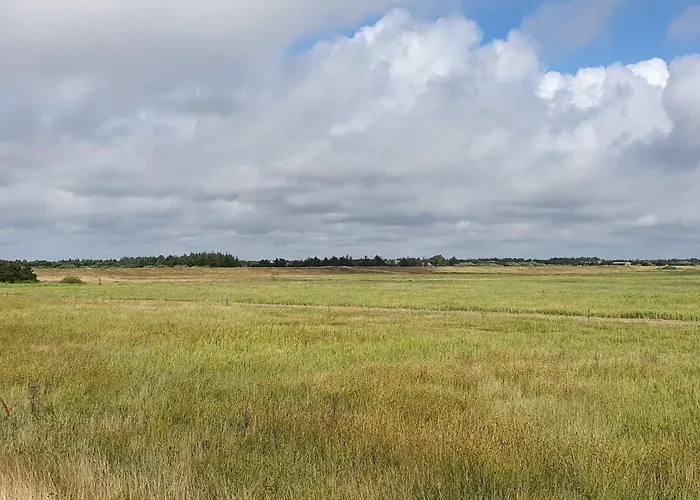 Secluded Retreat In Nature - By Traum * Blåvand